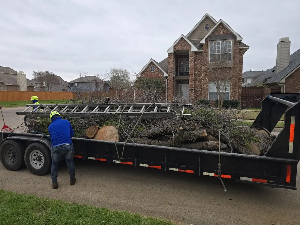 Expert Tree Fertilization with proper safety equipment in Champlin